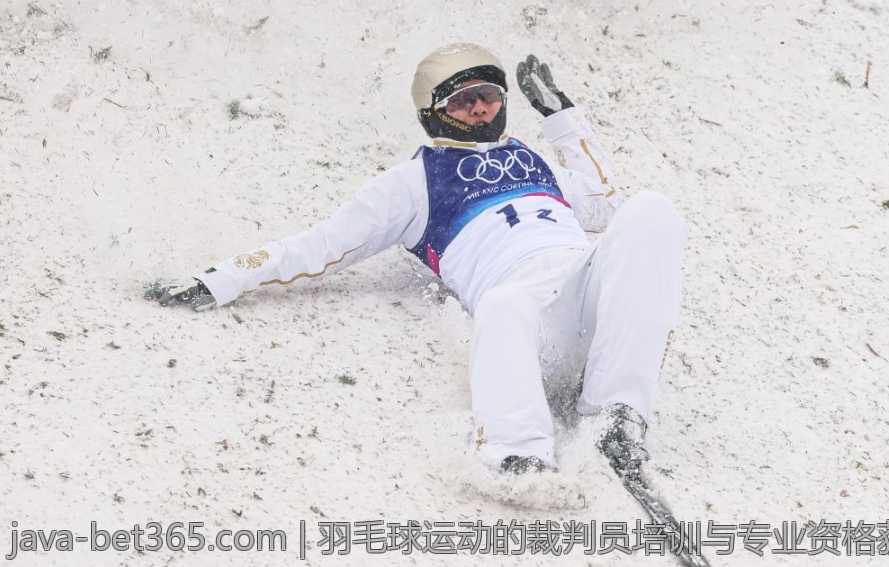 羽毛球运动的裁判员培训与专业资格获取
