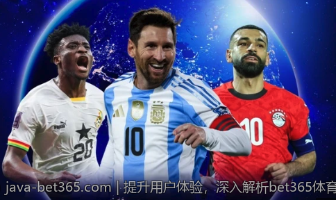 提升用户体验，深入解析bet365体育下载
